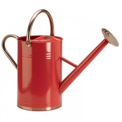 Gieter 9 Liter Verzinkt -Tuinwinkel Voor Buiten image 112