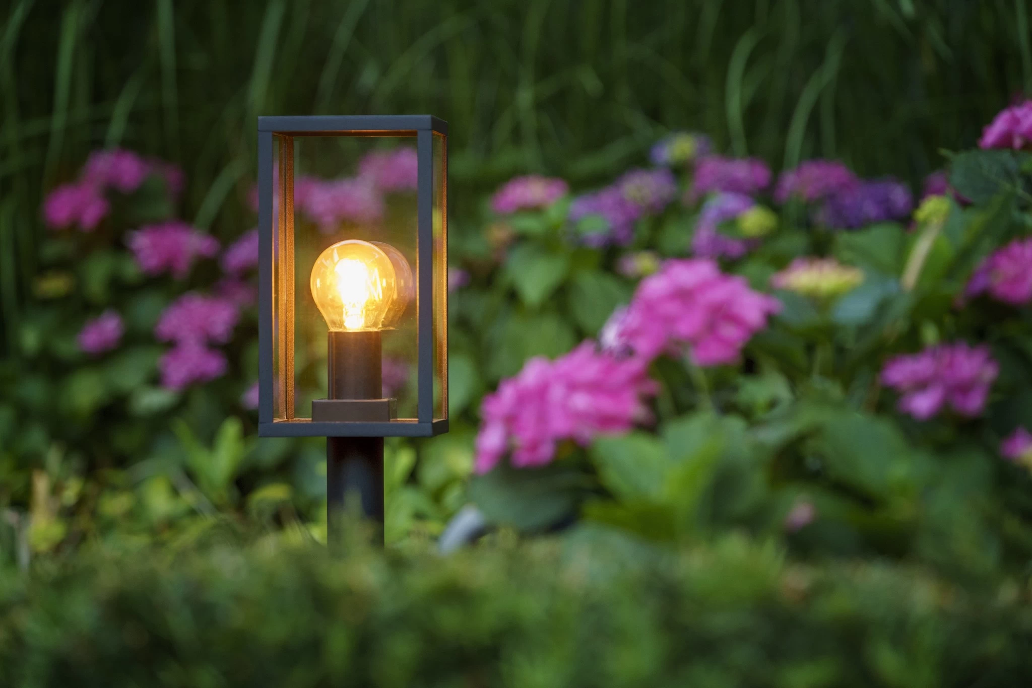 Garden Lights Limosa 70 4 Garden Lights Limosa 70 - Afbeelding 4