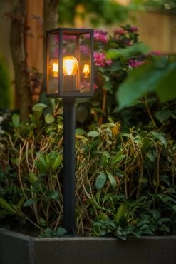 Garden Lights Limosa 70 11 Garden Lights Limosa 70 -Tuinwinkel Voor Buiten image 1122