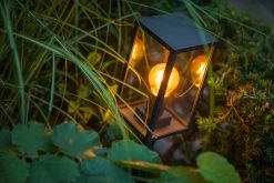 Garden Lights Limosa 70 12 Garden Lights Limosa 70 -Tuinwinkel Voor Buiten image 1123