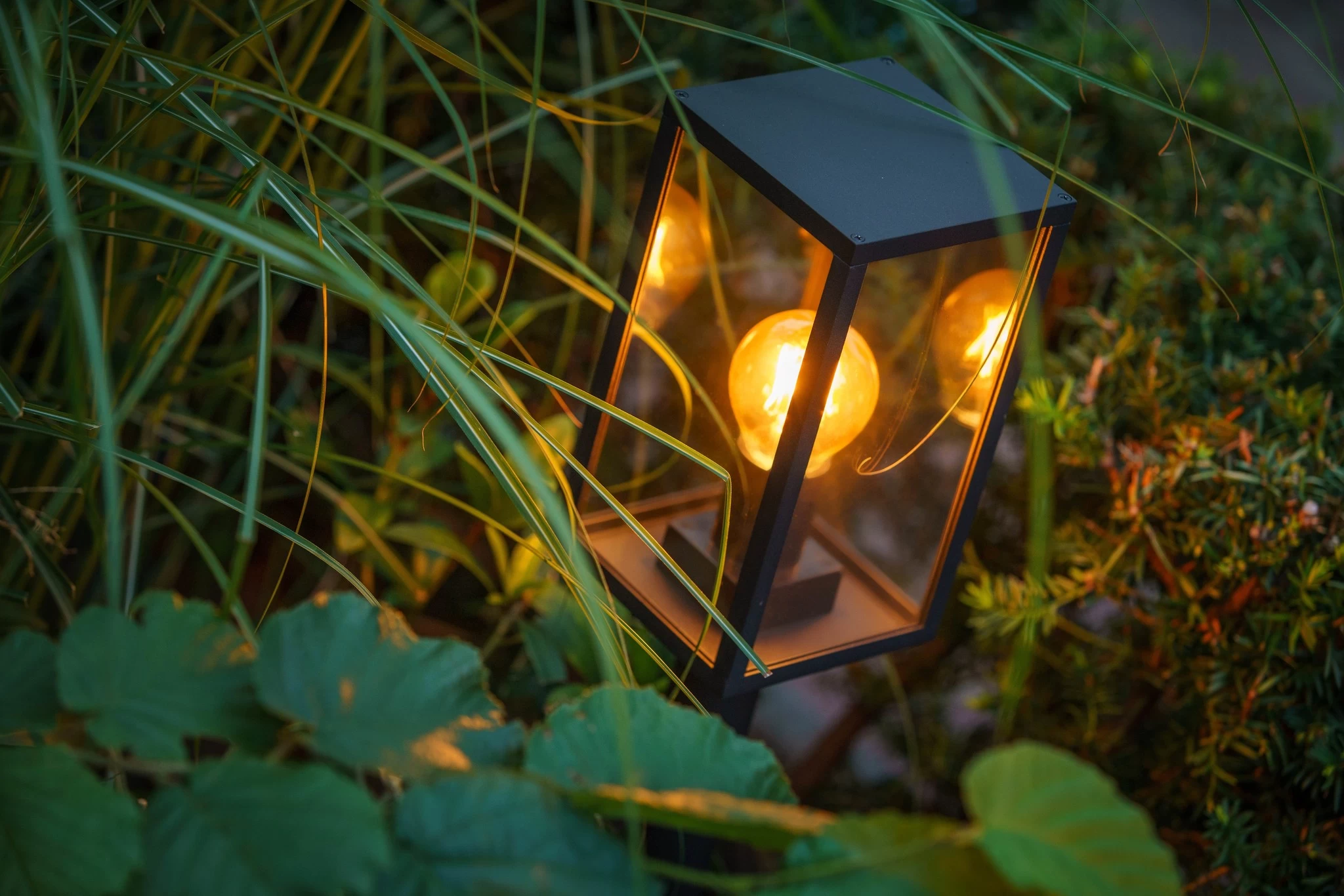 Garden Lights Limosa 70 6 Garden Lights Limosa 70 - Afbeelding 6