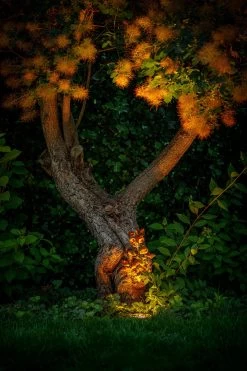 Garden Lights Rubum -Tuinwinkel Voor Buiten image 1163