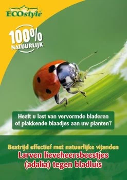 ECOstyle Larven Lieveheersbeestje Tegen Bladluizen 100 St.