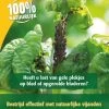 ECOstyle Gaasvlieg Tegen Bladluis 500 St.