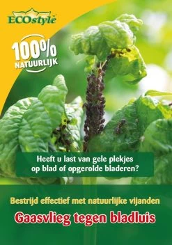 ECOstyle Gaasvlieg Tegen Bladluis 500 St.
