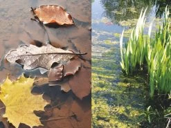 Heissner Vijver Vacuüm Stofzuiger Basic -Tuinwinkel Voor Buiten image 1703