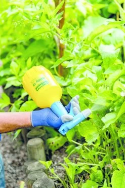 Gloria Fijnsproeier Hobby Flex 10 1 Liter -Tuinwinkel Voor Buiten image 275