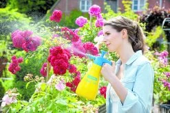 Gloria Fijnsproeier Hobby Flex 10 1 Liter -Tuinwinkel Voor Buiten image 277