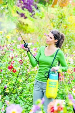 Gloria Drukspuit Prima 3 Liter 6 Gloria Drukspuit Prima 3 Liter -Tuinwinkel Voor Buiten image 303