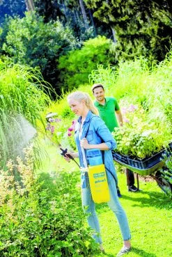 Gloria Drukspuit Prima 5 Liter 7 Gloria Drukspuit Prima 5 Liter -Tuinwinkel Voor Buiten image 318