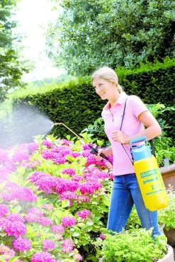 Gloria Drukspuit Prima 5 Liter 9 Gloria Drukspuit Prima 5 Liter -Tuinwinkel Voor Buiten image 320