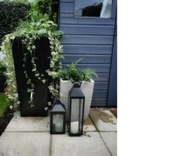 Prestige Manhattan Zwart 100L (incl. Messing Kraantje) 5 Prestige Manhattan Zwart 100L (incl. Messing Kraantje) -Tuinwinkel Voor Buiten image 401