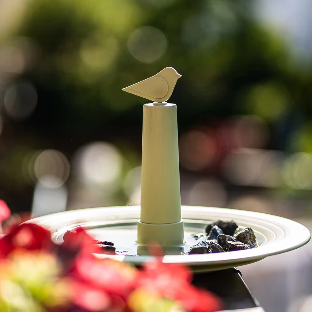 Vogelbad Finch Olijfgoen 2 Vogelbad Finch Olijfgoen - Afbeelding 2