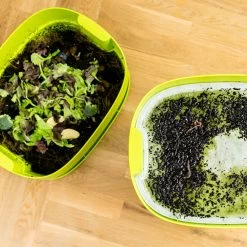 Worm Composter Ivoor -Tuinwinkel Voor Buiten image 441