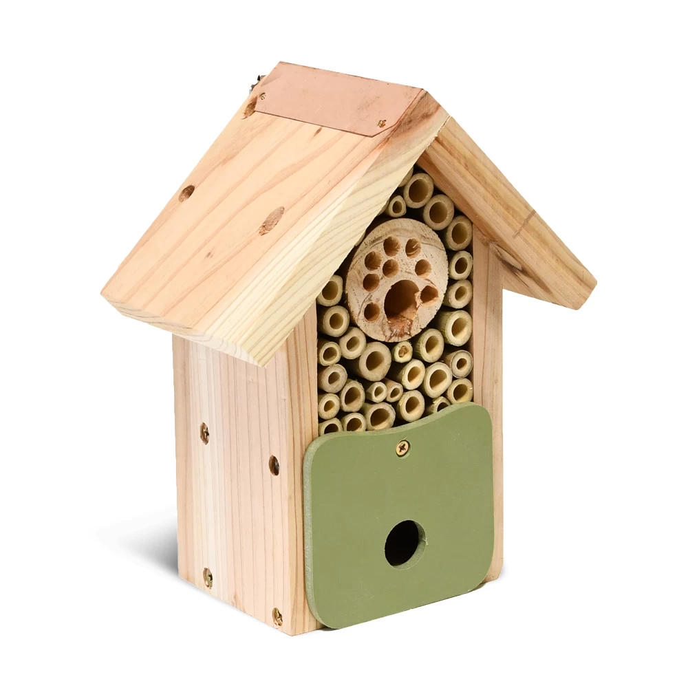 Bijenhuis Bee Barn 1 Bijenhuis Bee Barn