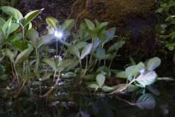 Heissner Smart Light Spot 9W RGB Metaal -Tuinwinkel Voor Buiten image 901