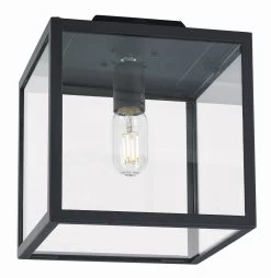 Franssen Franssen Plafondlamp Lofoten Vierkant Zwart - 12V